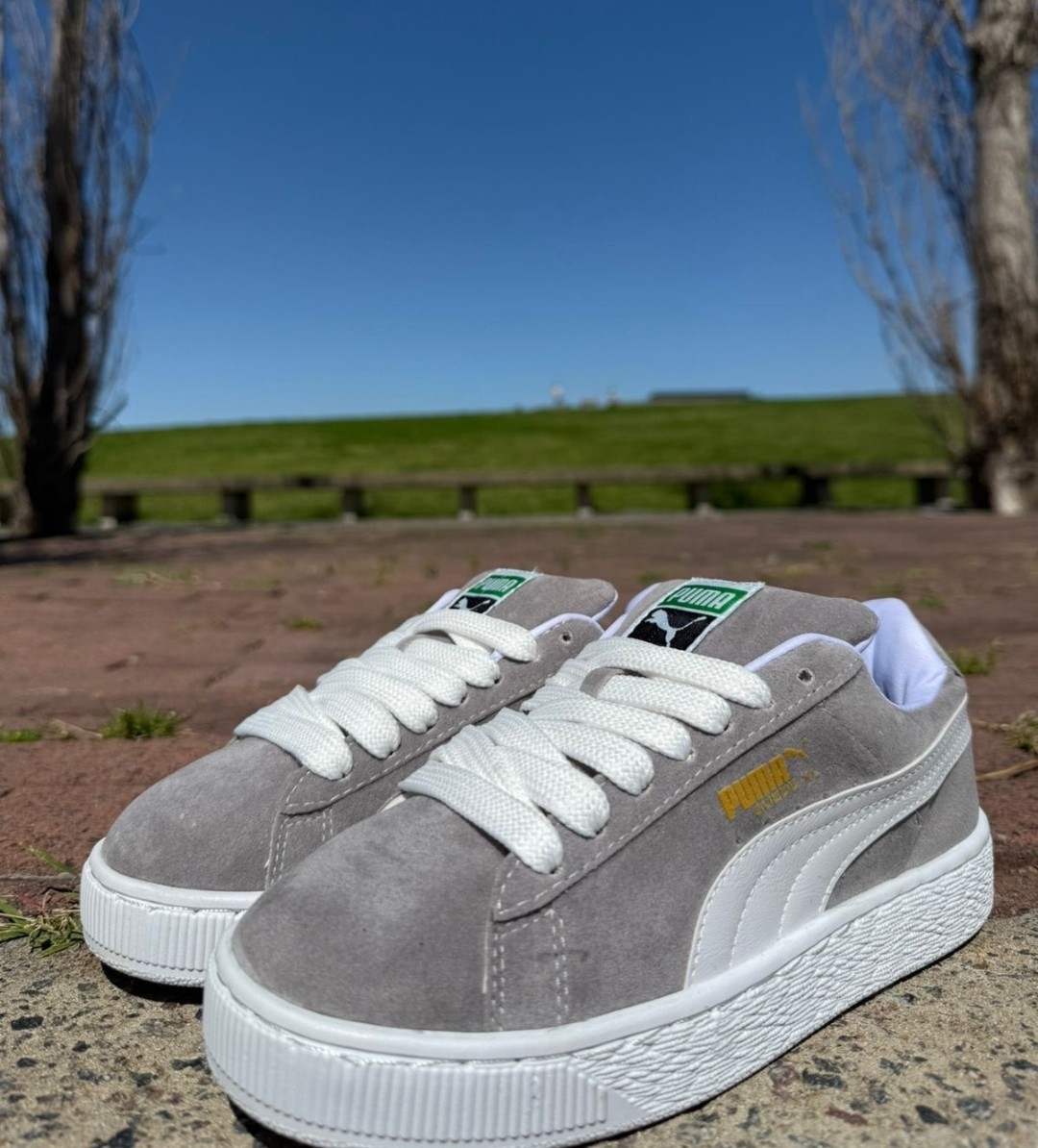 Puma Suede XL Gris