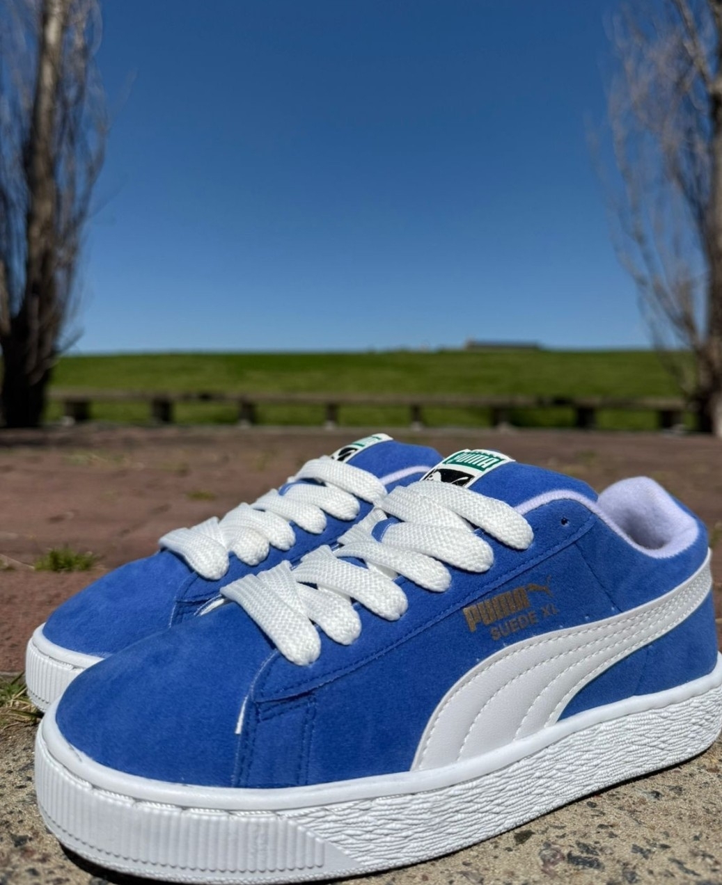 Puma Suede XL Azul